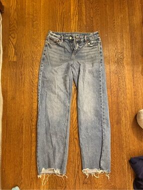 American Eagle Outfitters Light Blue Curvy Stovepipe Strigid Jeans